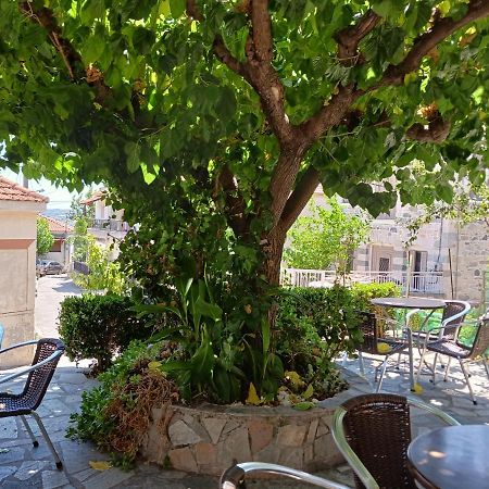 Vagia'S Home Kymi Dış mekan fotoğraf