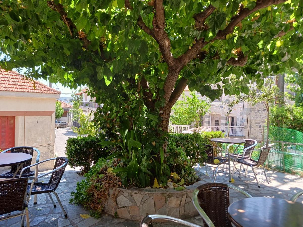 Vagia'S Home Kymi Dış mekan fotoğraf
